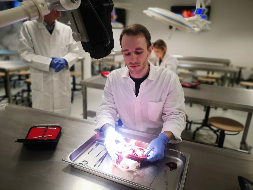 Neues Lehrzentrum der Sigmund Freud-Privatuniversität eröffnet